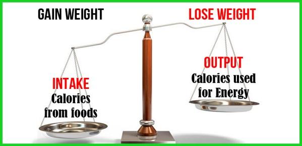 scale showing intake of calories and weight gain graphic